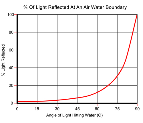 Light Reflected at an Air Water Boundary