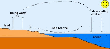 sea breezes