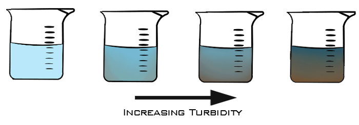 Increasing Turbidity