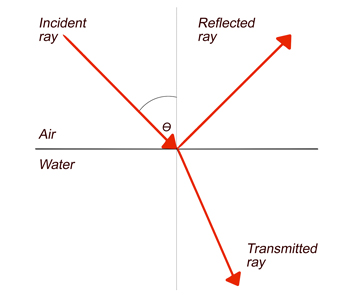 Diagram of a light ray hitting an air water boundary. Some of the light is reflected back to the sky and some of the light is transmitted into the water